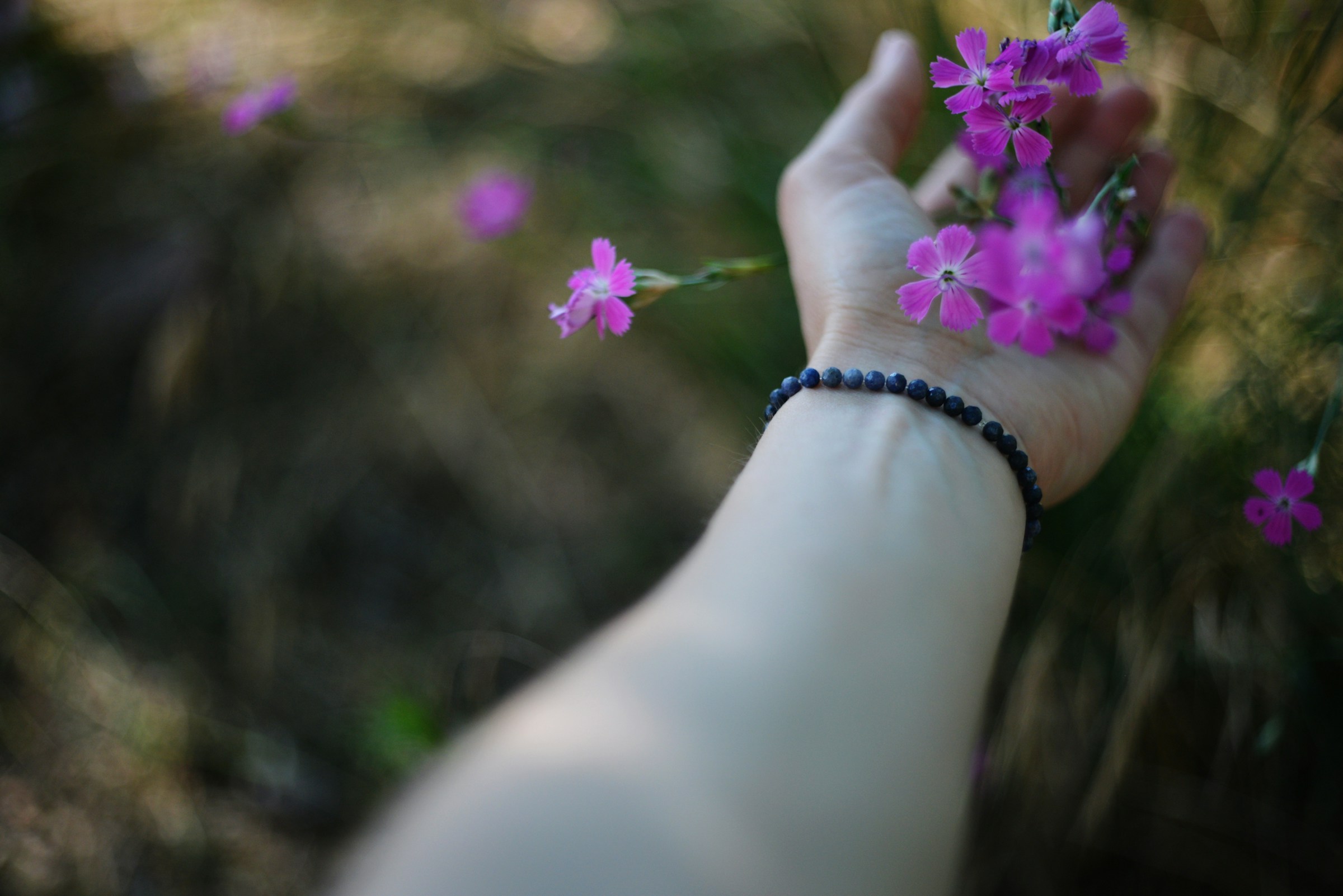Mão estendida tocando flores — serviço e compaixão